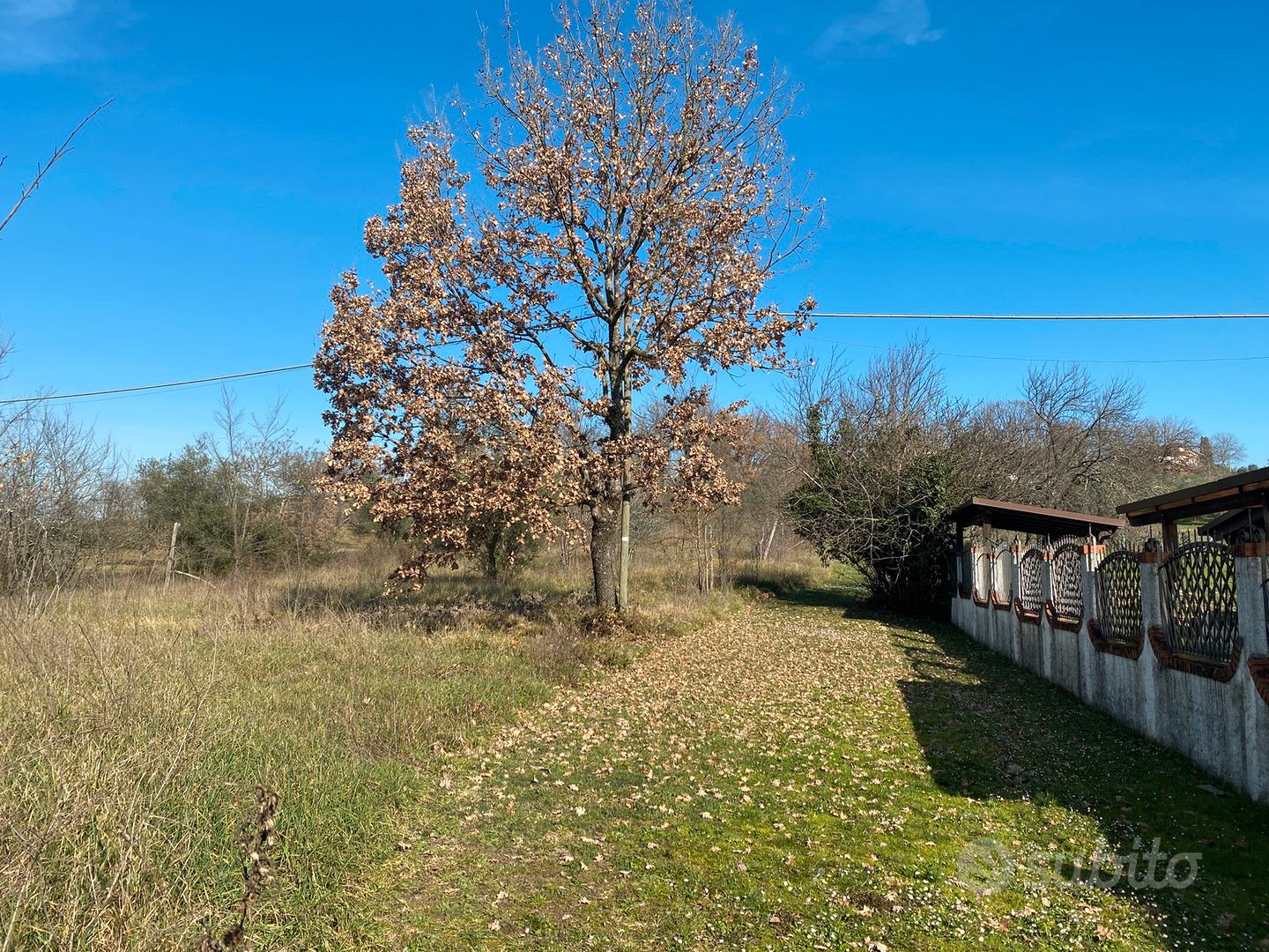 Terreno ceprano - Ansicht 3