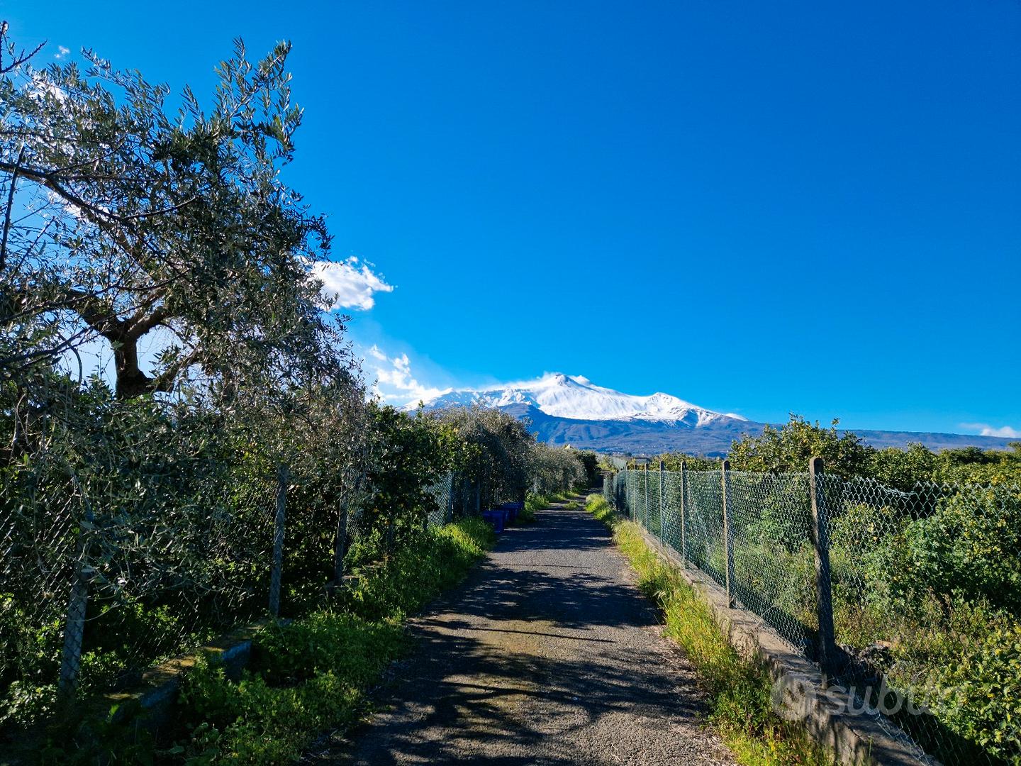 Terreno con agrumeto e casale rurale -Pozzillo Sup - Vista 5