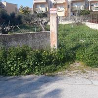 Terreno parco giochi e sport