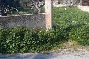 Terreno parco giochi e sport