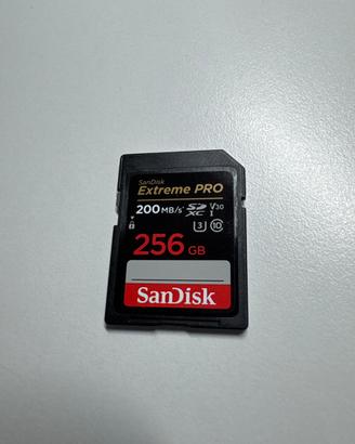 SanDisk Extreme Pro 256 GB