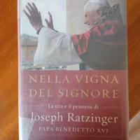 Nella vigna del Signore 