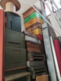 APICOLTURA