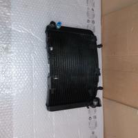Radiatore acqua brutale 800 800 rr