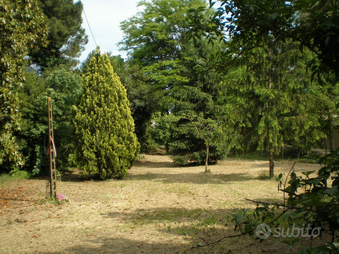 Terreno con ruderi e verde alle porte di Ravenna - View 5