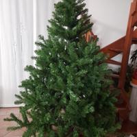 Albero di Natale