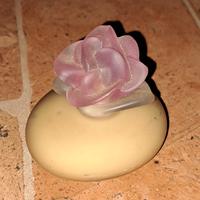 profumo fiorilù pupa