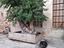Immagine 2