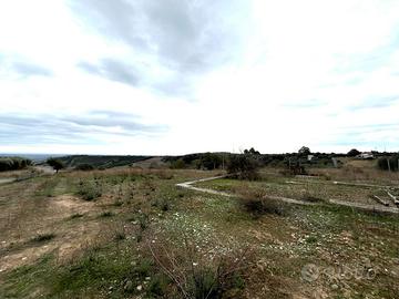 Lotto agricolo - Pisticci
