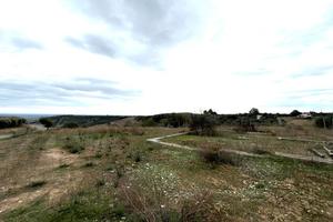 Lotto agricolo - Pisticci