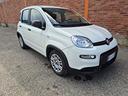 fiat-panda-1-0-firefly-s-s-hybrid-5-posti