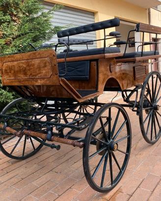 Carrozza Break (019)