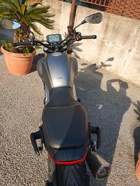 Voge Trofeo 500 - 2022