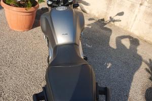 Voge Trofeo 500 - 2022