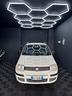fiat-panda-1-2-active-gpl