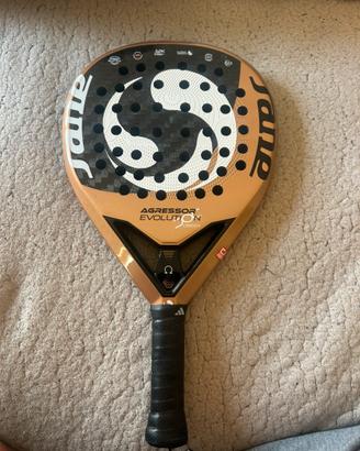 Sane Aggressor Evolution Omega