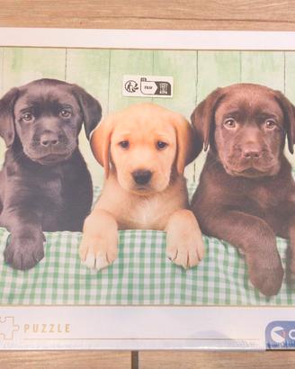 Puzzle 1000 pezzi Clementoni Cuccioli Labrador
