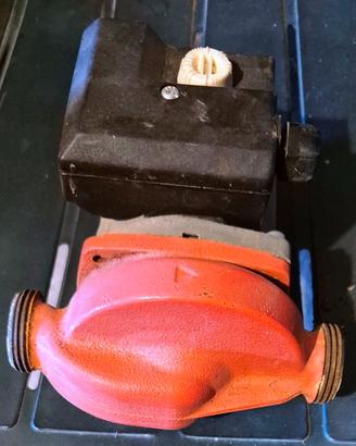 Circolatore 53-15 Immergas