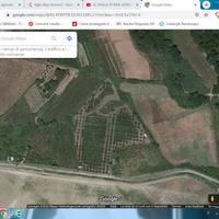 Terreno agricolo con ulivi