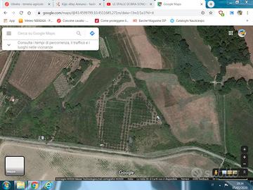 Terreno agricolo con ulivi