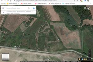 Terreno agricolo con ulivi