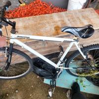 bici bridgestone 