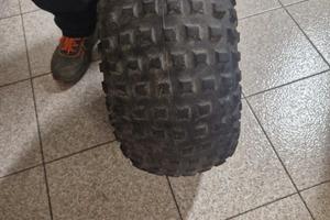 Ruota completa FANTIC KOALA