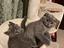 Immagine 1