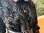 Immagine 6