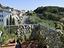 Immagine 27