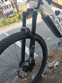 E bike Alpek Evoque Pro