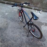 Bici  Mountain bike