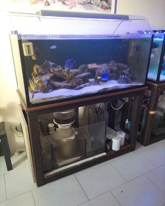 Acquario marino