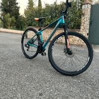 Bottecchia sport concept 109