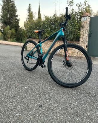 Bottecchia sport concept 109