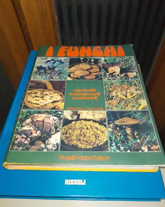 I funghi cercarli, conoscerli e cucinarli