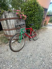 Bicicletta mtb/città