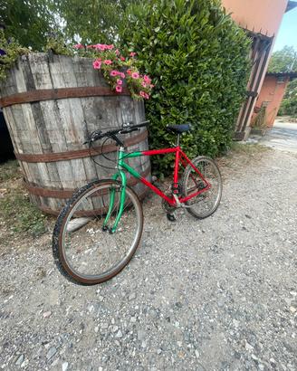Bicicletta mtb/città