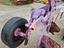 Immagine 13