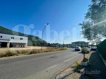 Magazzino Bellona [Cod. rif 3245086ACG]