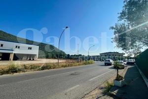 Magazzino Bellona [Cod. rif 3245086ACG]