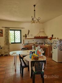 Casa con terreno agricolo metri 500 circa