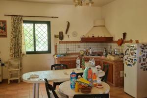 Casa con terreno agricolo metri 500 circa