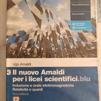 Il nuovo Amaldi 3 - 9788808914057