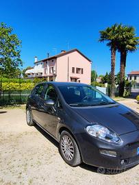 Fiat Punto anno 2016     1.3 Multijet 55kW. 75CV