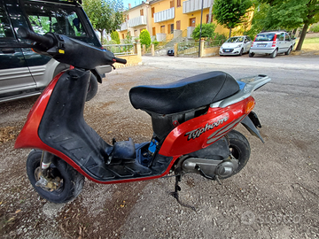 Piaggio typhoon 50 cc