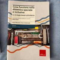 Cosa funziona nella didattica speciale e inclusiva