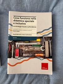 Cosa funziona nella didattica speciale e inclusiva