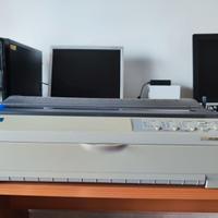 Epson FX-2190, stampante ad AGHI