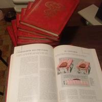 Guida Medica - Enciclopedia - 11 Volumi